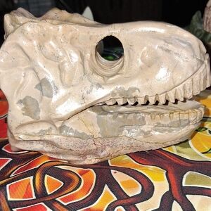 Dinosaur Skull Decor - Tan
